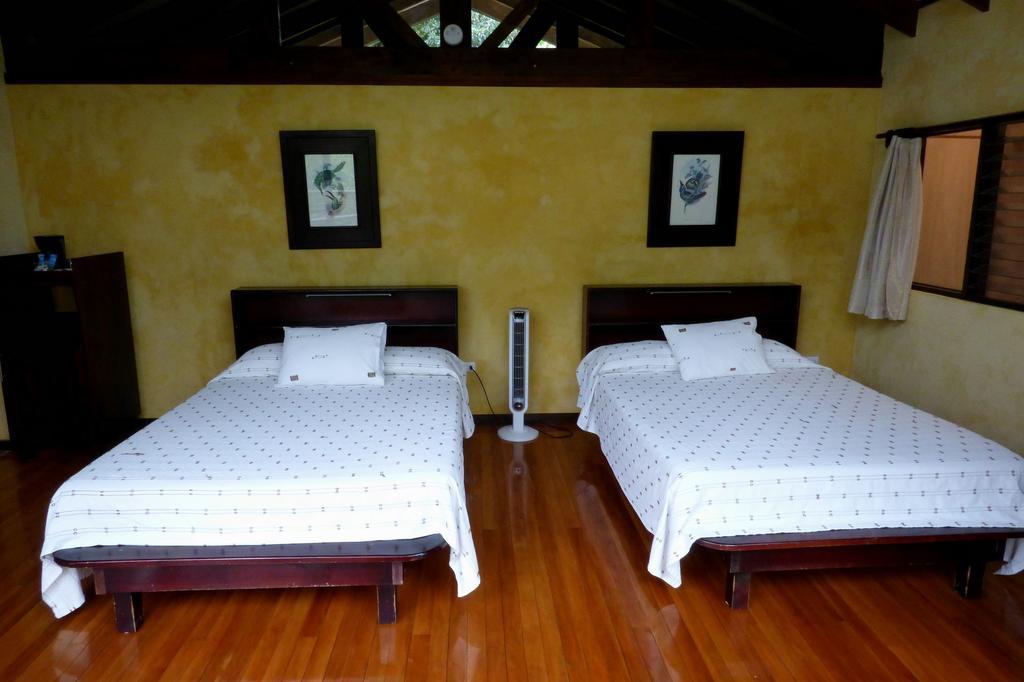 Tenorio Lodge Bijagua Bilik gambar
